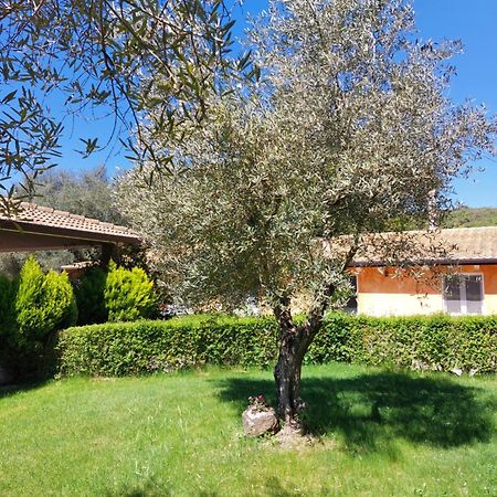 Casa Vacanza Centro Sardegna Sorgono 외부 사진