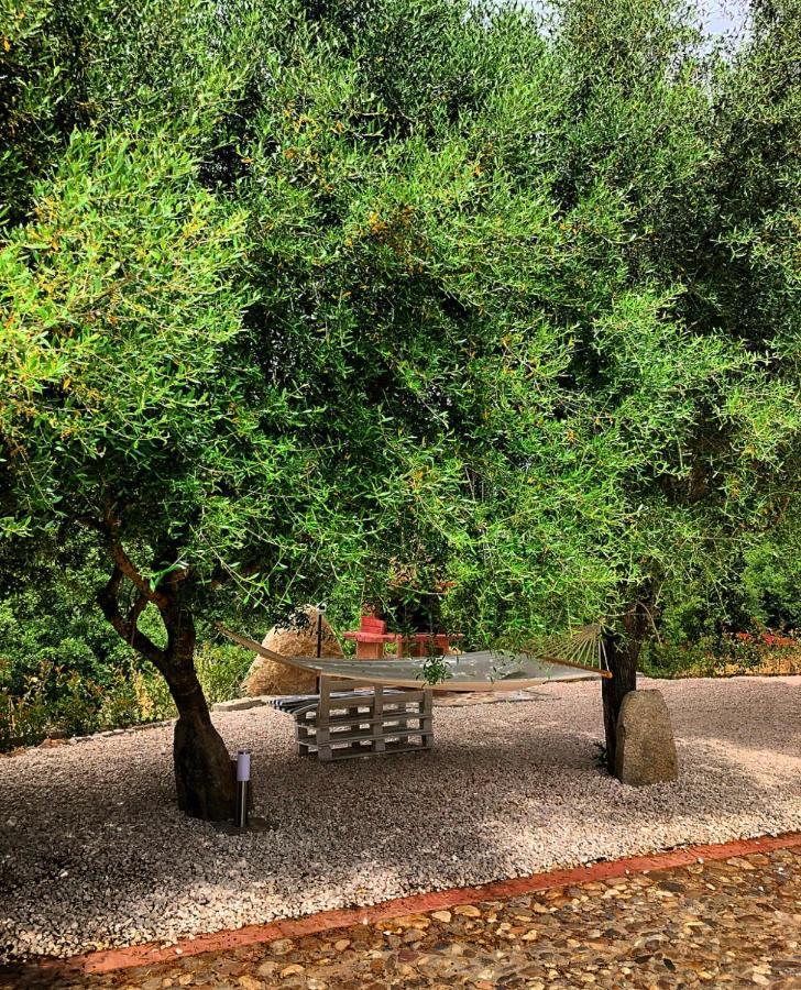 Casa Vacanza Centro Sardegna Sorgono 외부 사진