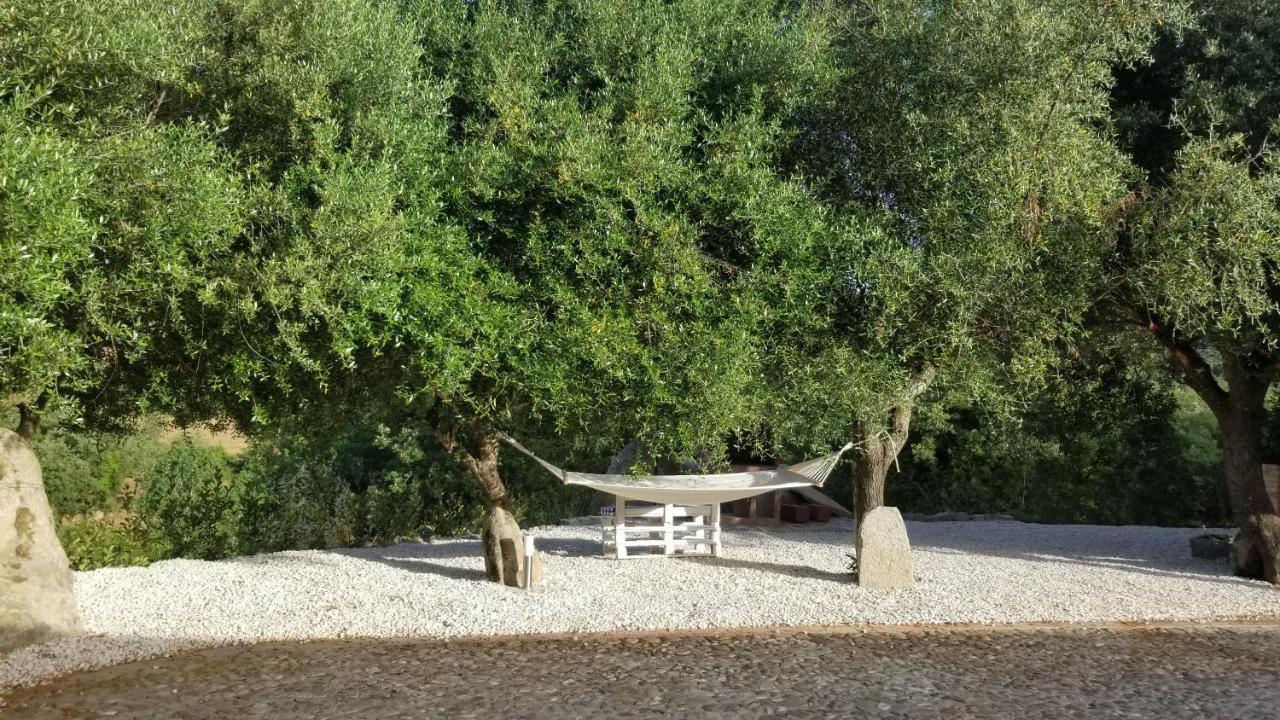 Casa Vacanza Centro Sardegna Sorgono 외부 사진