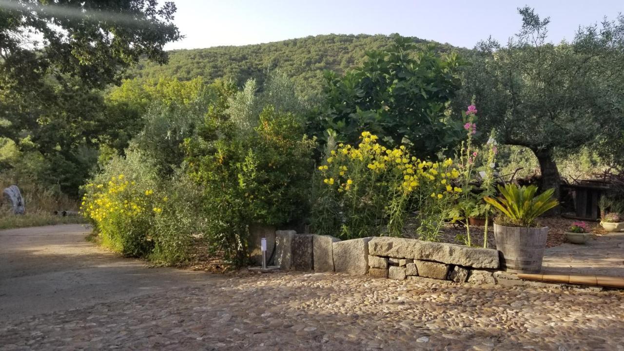 Casa Vacanza Centro Sardegna Sorgono 외부 사진