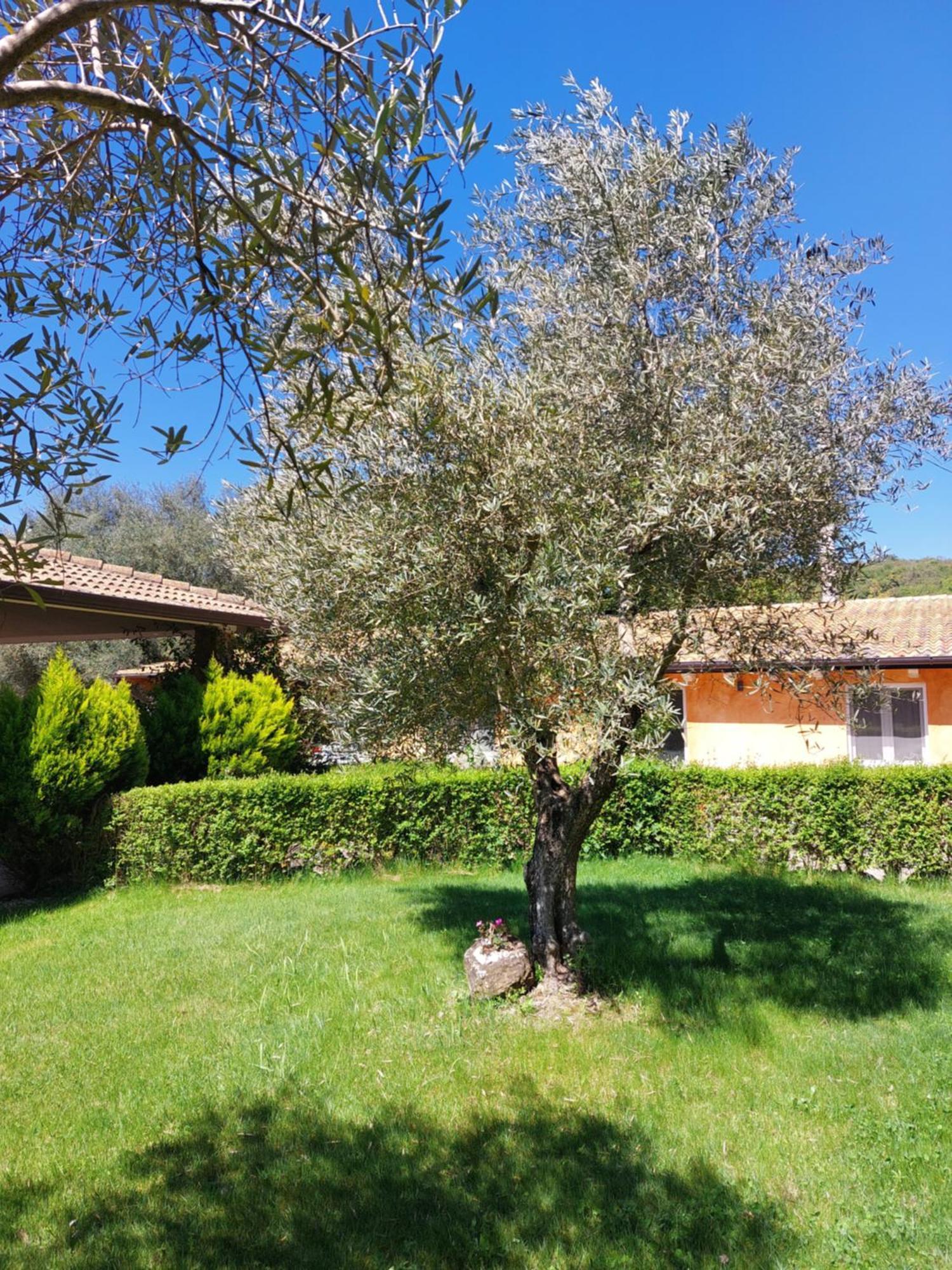 Casa Vacanza Centro Sardegna Sorgono 외부 사진