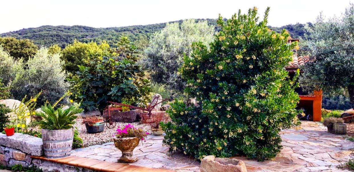 Casa Vacanza Centro Sardegna Sorgono 외부 사진