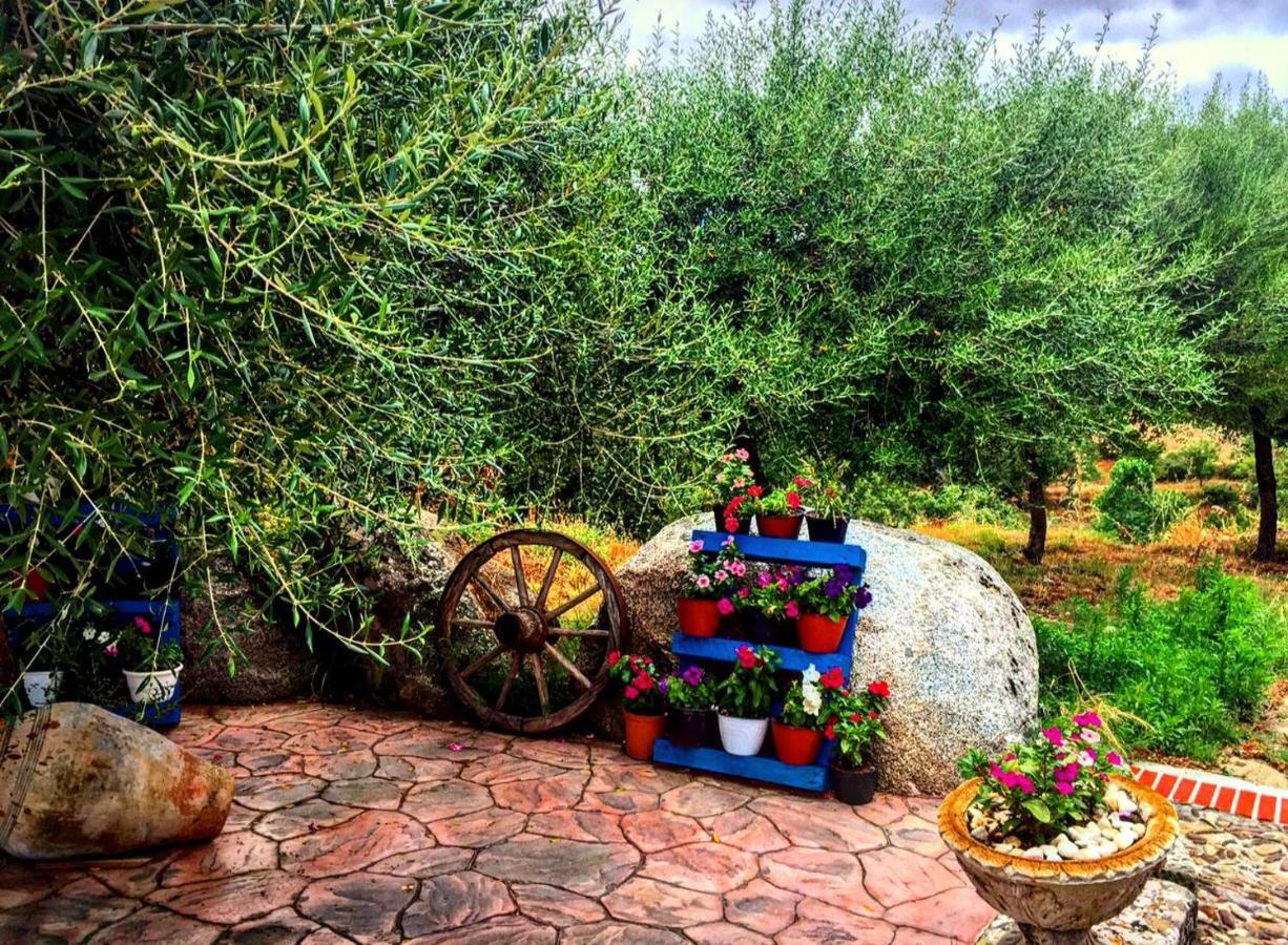 Casa Vacanza Centro Sardegna Sorgono 외부 사진